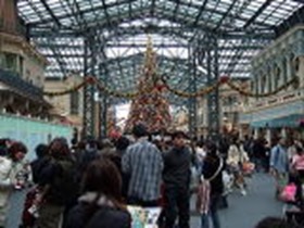 東京ディズニーランド　クリスマスツリー