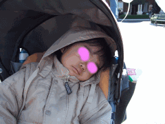 ３歳と行く東京ディズニーランド旅行　攻略法