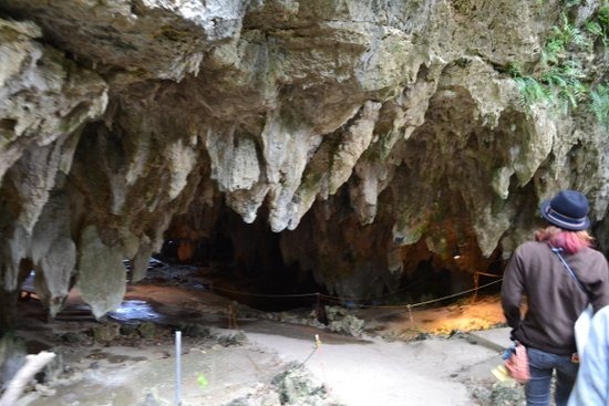 ３月　ガンガラーの谷　洞窟