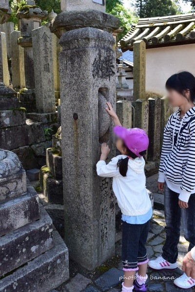 子供連れ奈良観光・東大寺