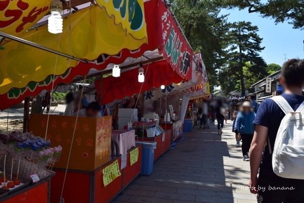 子供連れ奈良観光・東大寺