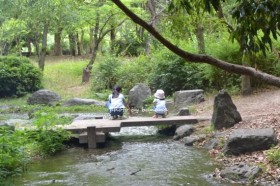 大泉緑地　水遊び